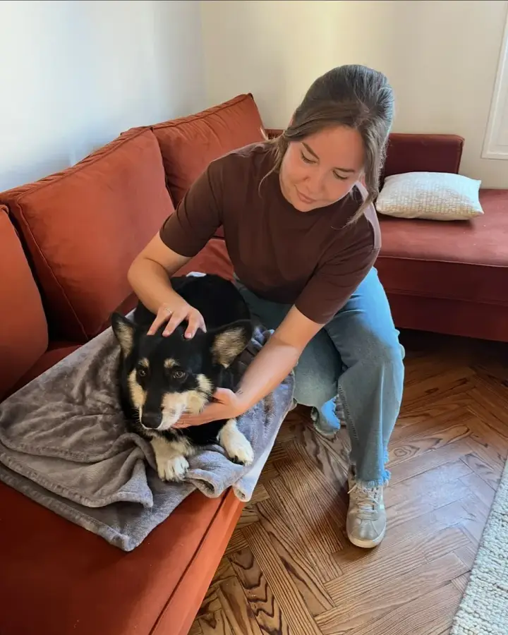 Léa Laplace masse un chien noir et feu allongé sur un plaid, lors d’une consultation à domicile